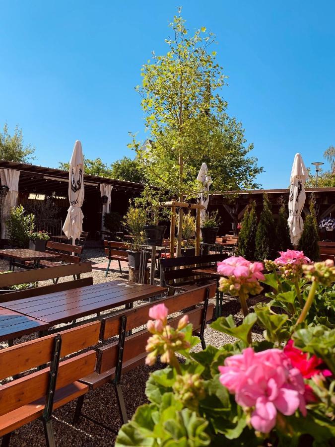 Landgasthof Zur Sonne Dillingen an der Donau Kültér fotó